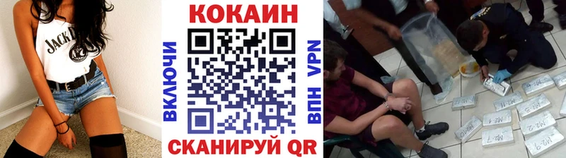 Купить закладки  Нижний Тагил  COCAIN Fish Scale 